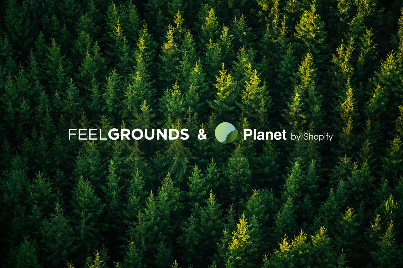 CO2-neutral shipping