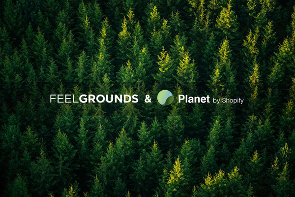 Blog post: CO2-neutral shipping